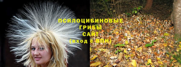 экстази Балахна